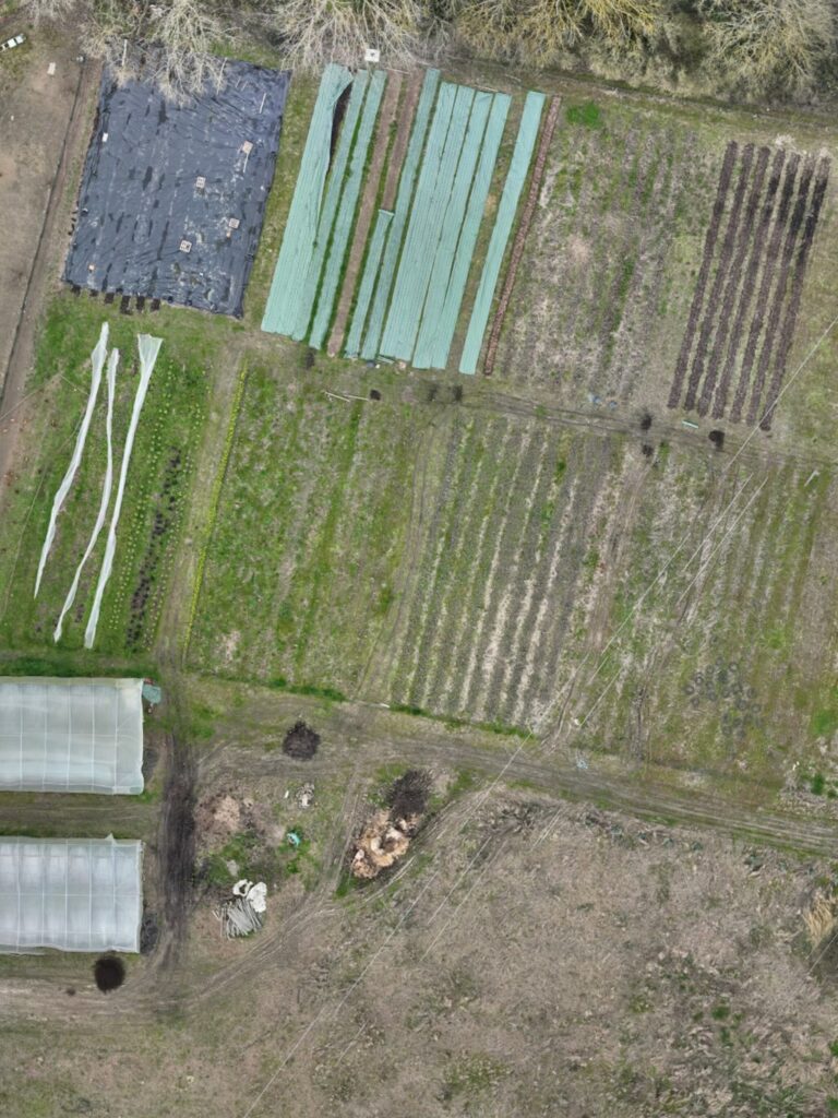 Service photogrammétrie et topographie par drone